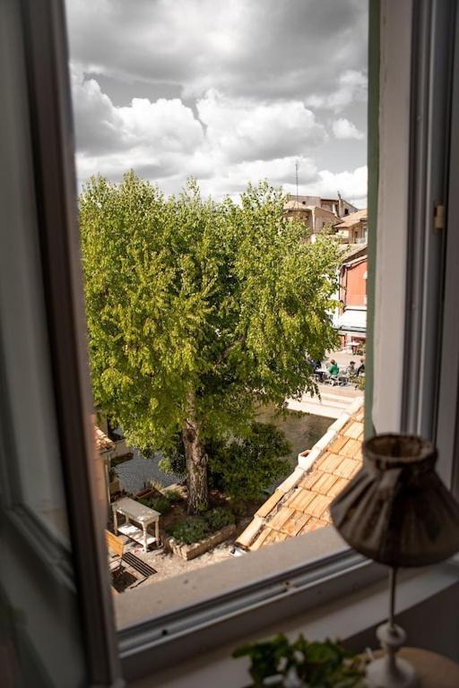 La Maison Du Bassin LʼIsle-sur-la-Sorgue Buitenkant foto